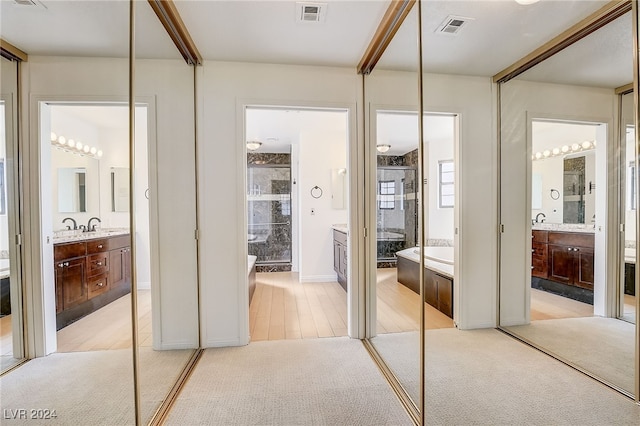 closet with sink