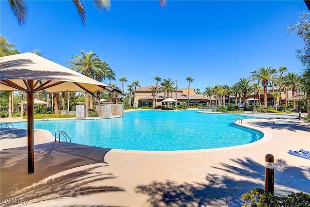 view of swimming pool with a patio area