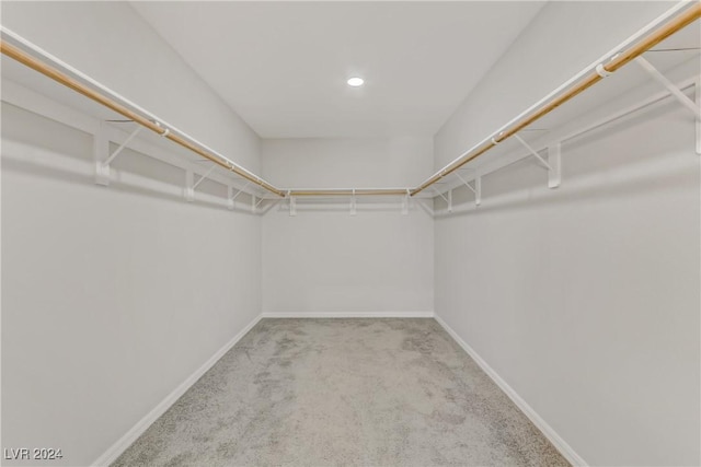 walk in closet with carpet flooring