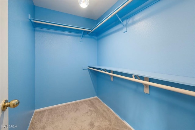 walk in closet with carpet