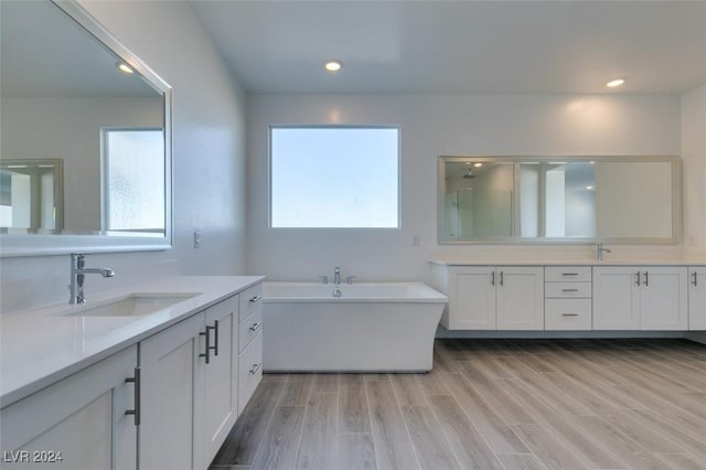 bathroom featuring hardwood / wood-style flooring, plenty of natural light, and vanity