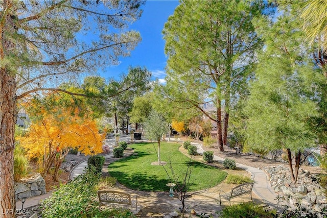 view of community featuring a lawn