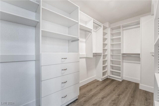 spacious closet with wood-type flooring