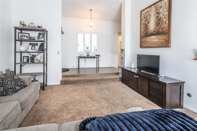 living room featuring carpet flooring