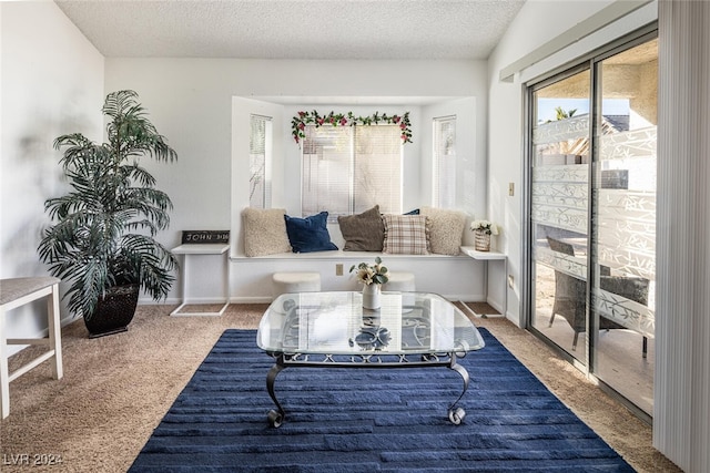 sitting room with carpet and a textured ceiling