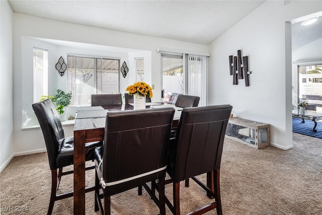 2525 Kirkmichael Ln, Henderson, NV 89014 - photo 15