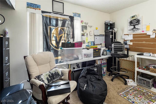 carpeted office featuring a textured ceiling