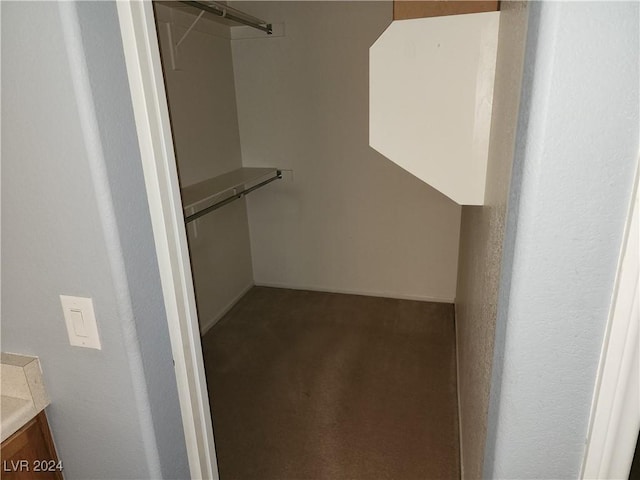 spacious closet featuring carpet floors