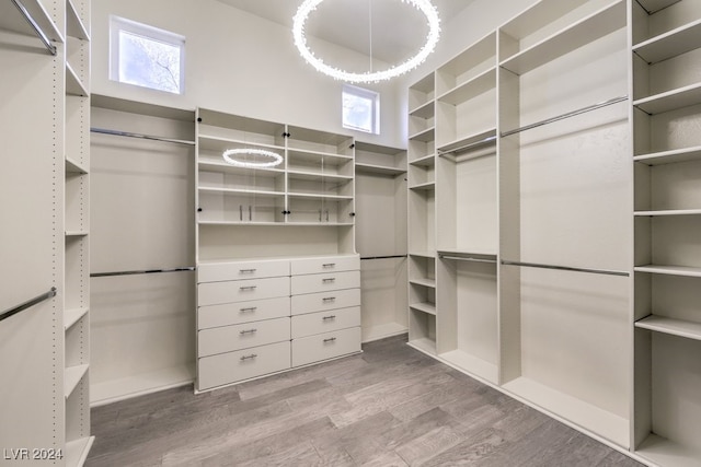 spacious closet featuring light hardwood / wood-style flooring