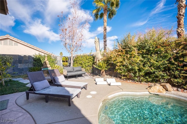 view of swimming pool with a patio area