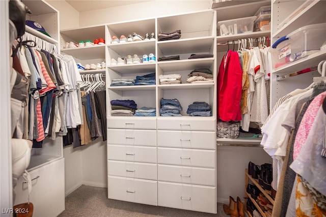 spacious closet featuring carpet flooring