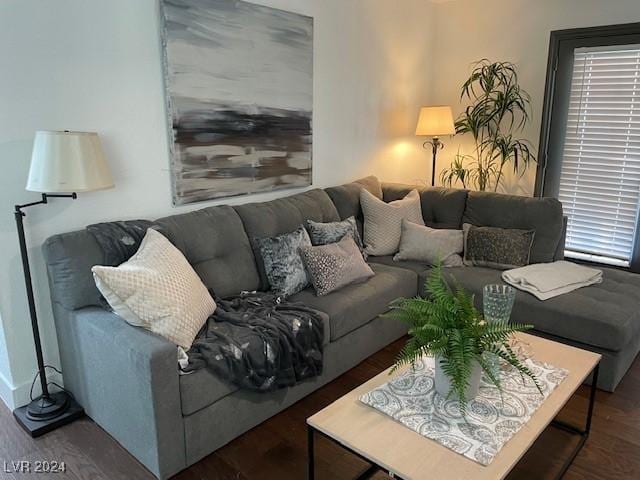 living room with dark hardwood / wood-style floors