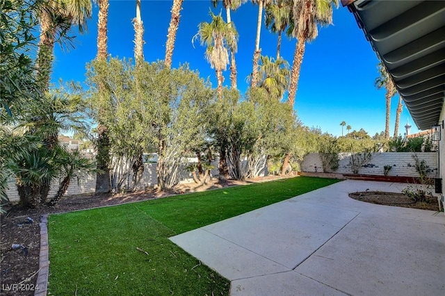 view of yard featuring a patio