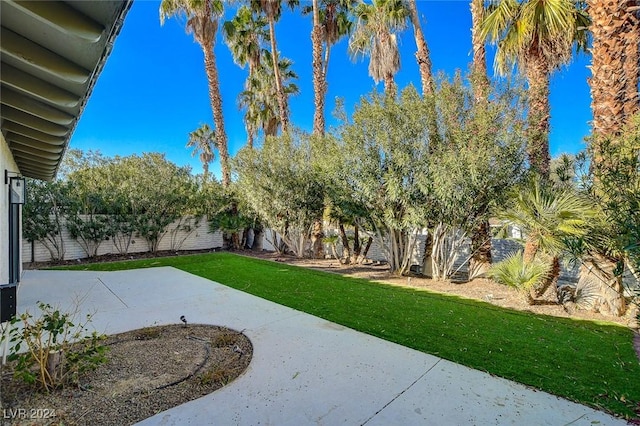 view of yard featuring a patio area