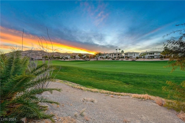 view of community featuring a yard