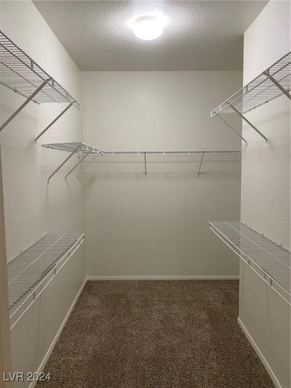 spacious closet with dark carpet