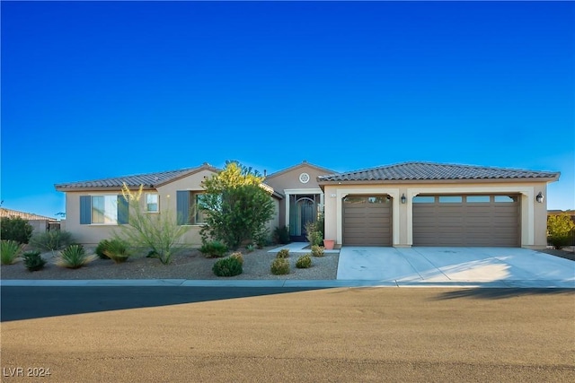 view of front facade with a garage