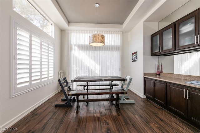 dining room with dark hardwood / wood-style flooring and a tray ceiling