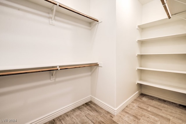 spacious closet with light wood-type flooring