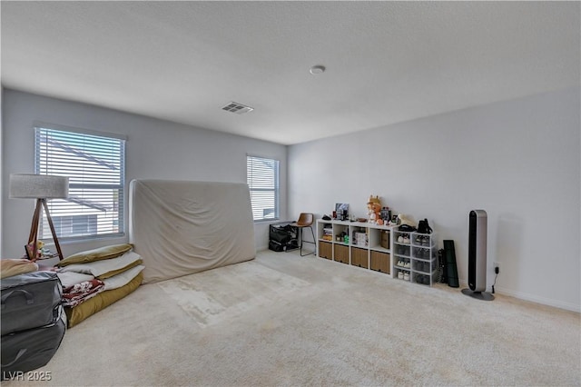 miscellaneous room featuring light carpet and plenty of natural light