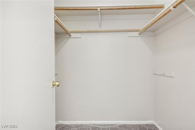 spacious closet with carpet floors