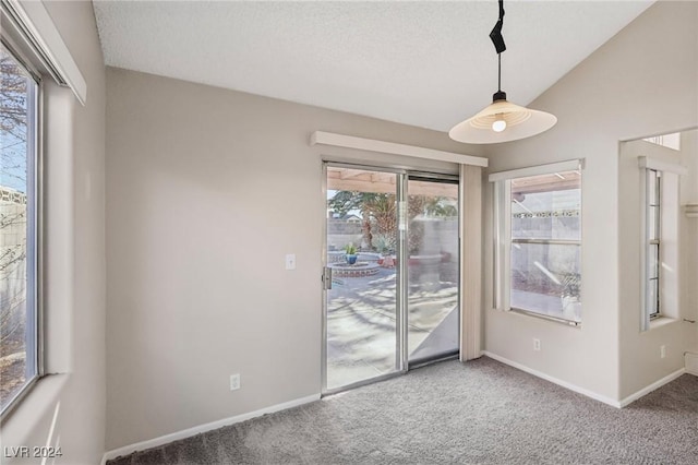 spare room featuring carpet flooring, a textured ceiling, and vaulted ceiling