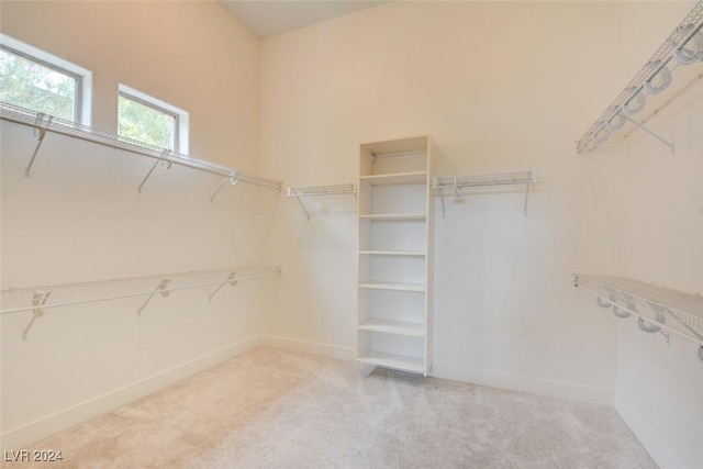 spacious closet with light carpet