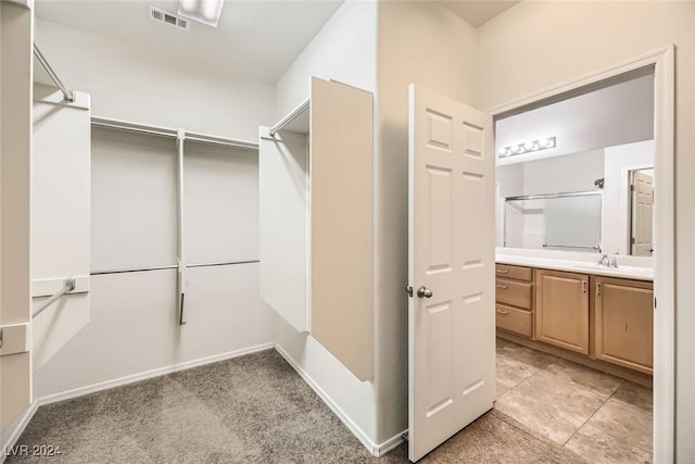 spacious closet featuring light carpet and sink