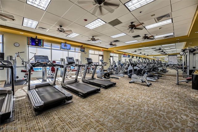 gym with a paneled ceiling, carpet floors, and ceiling fan