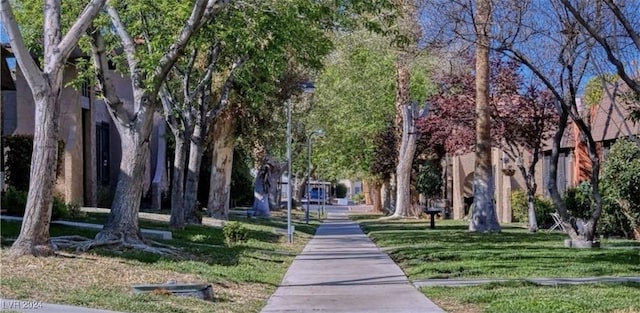 view of property's community with a lawn