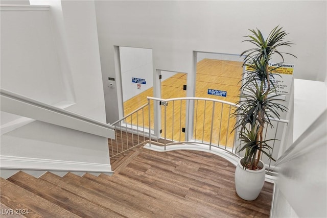 staircase with wood-type flooring