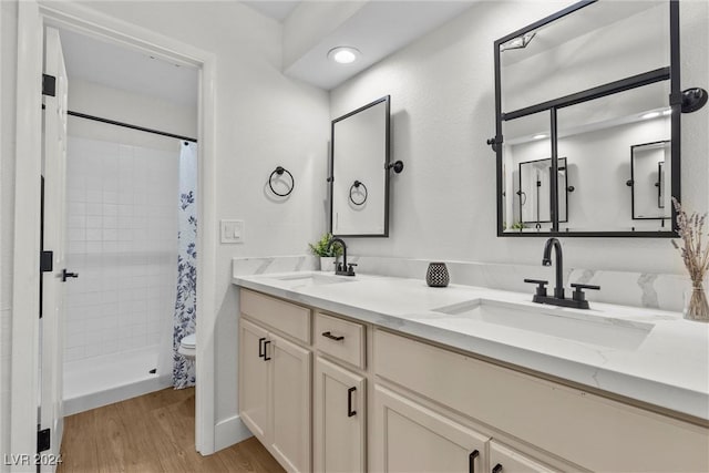 bathroom featuring a shower with curtain, wood-type flooring, toilet, and vanity