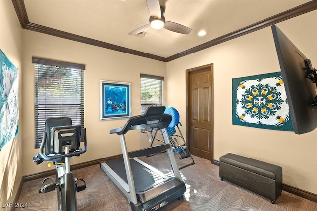 exercise area with crown molding, carpet floors, and ceiling fan