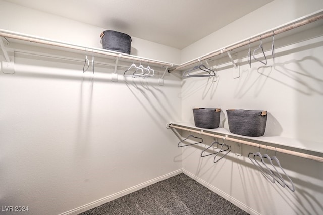 spacious closet featuring carpet flooring