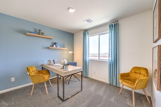 office space with carpet flooring and a textured ceiling