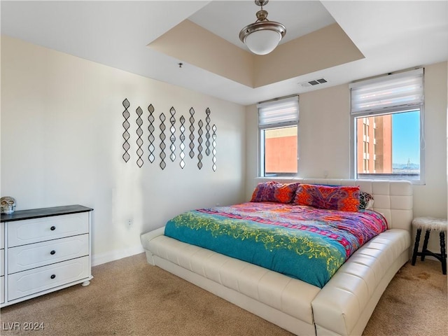 bedroom featuring carpet and a tray ceiling