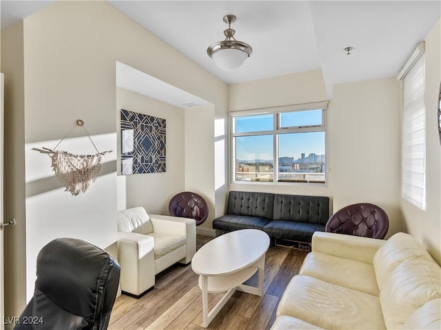 living room featuring hardwood / wood-style flooring and a healthy amount of sunlight