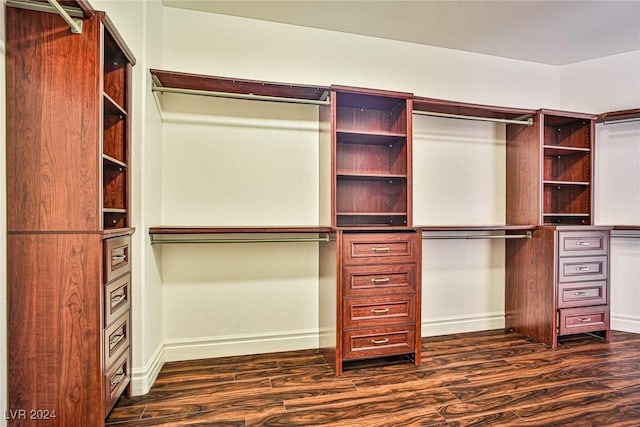 walk in closet featuring dark hardwood / wood-style floors