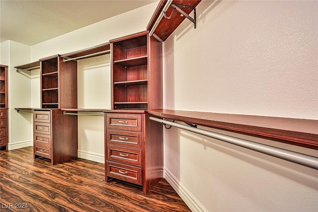 spacious closet with dark hardwood / wood-style flooring