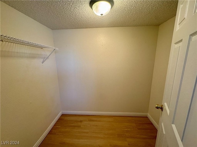 spacious closet with wood-type flooring