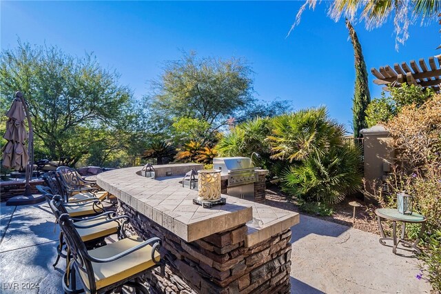 view of patio / terrace with exterior bar, grilling area, and exterior kitchen