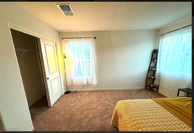 bedroom featuring a closet, carpet floors, and multiple windows