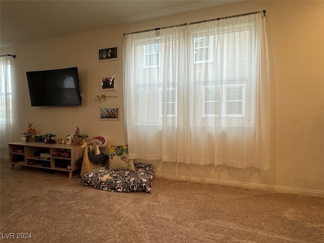 living room with carpet