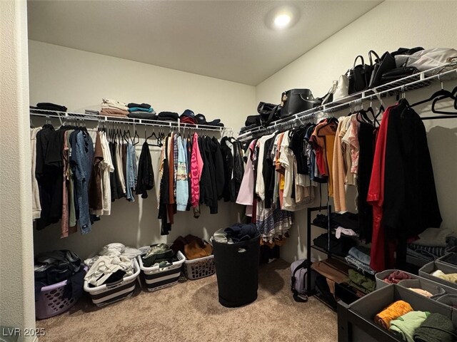 walk in closet featuring carpet floors