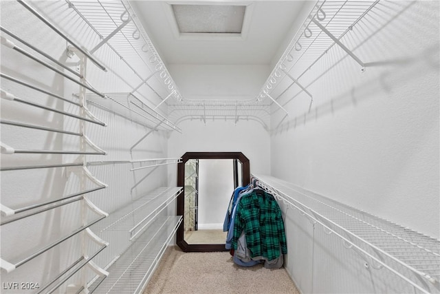 spacious closet featuring light colored carpet