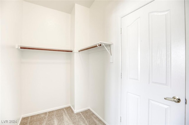 walk in closet with light carpet