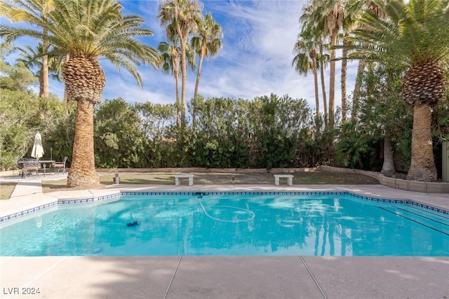 view of pool featuring a patio area