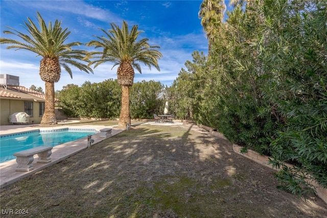 view of swimming pool