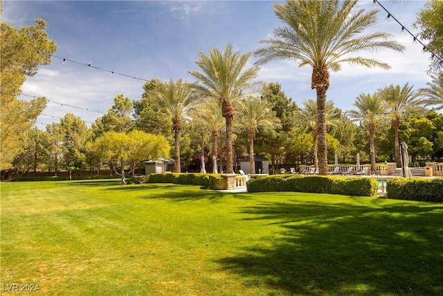 view of community featuring a lawn