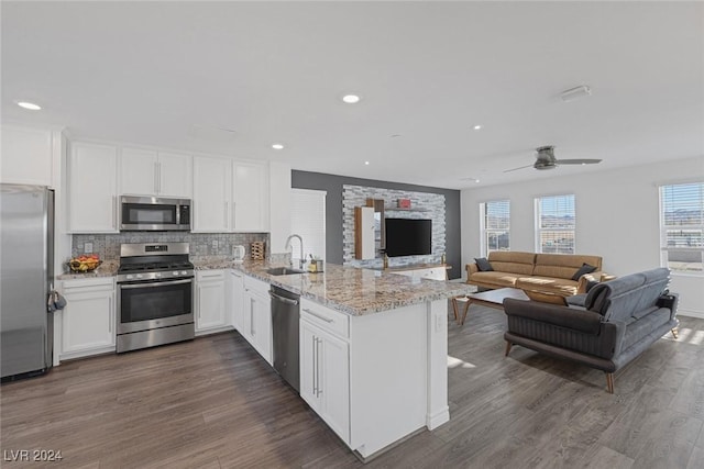 kitchen featuring dark wood-type flooring, white cabinets, sink, ceiling fan, and stainless steel appliances